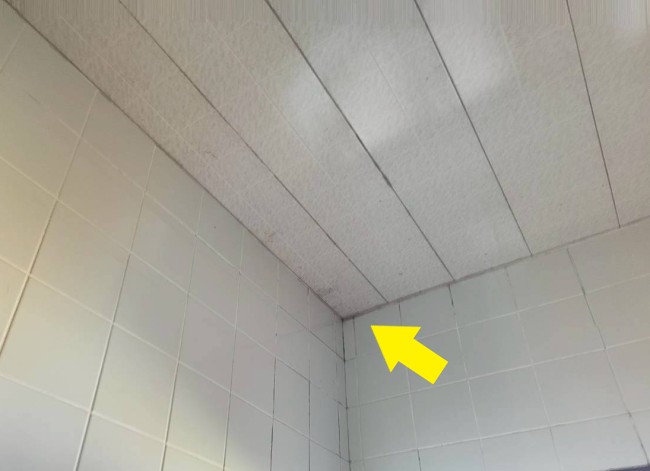 洗面所の雨漏り状況　天井と壁に黒いシミ